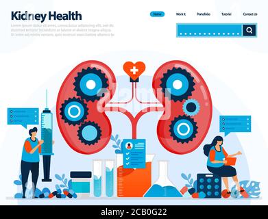 Illustration zur Überprüfung der Nierengesundheit. Erkrankungen und Störungen der Niere. Kontrolle und Handhabung für innere Organe. Entwickelt für Landing Page, templ Stock Vektor