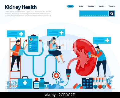 Illustration zur Überprüfung der Nierengesundheit. Erkrankungen und Störungen der Niere. Kontrolle und Handhabung für innere Organe. Entwickelt für Landing Page, templ Stock Vektor