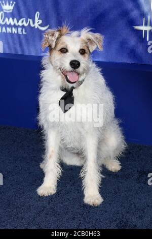 LOS ANGELES - JUL 26: Glücklich bei der Hallmark Summer 2019 TCA Party in der Privatresidenz am 26. Juli 2019 in Beverly Hills, CA Stockfoto