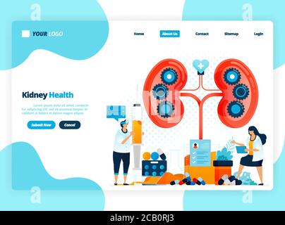 Illustration zur Überprüfung der Nierengesundheit. Erkrankungen und Störungen der Niere. Kontrolle und Handhabung für innere Organe. Entwickelt für Landing Page, templ Stock Vektor