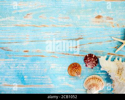 Strandaccessoires, verschiedene Muscheln auf vintage blauem Holzbrett mit Kopierraum. Reise und Urlaub Sommer Urlaub Hintergrund, Draufsicht. Stockfoto