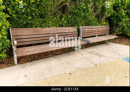 Sydney NSW Australien - 27. Mai 2020 - Public Wooden Bank im Dudley Page Reserve an einem bewölkten Herbstnachmittag Stockfoto