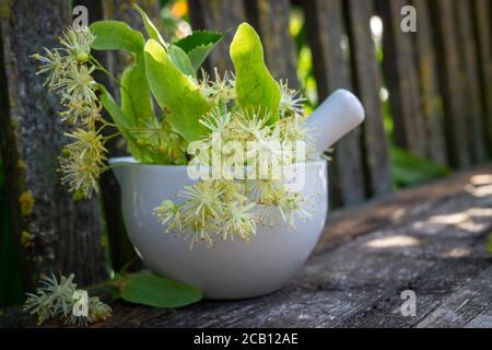 Stößel und Mörtel und Schüssel gefüllt mit frischen Lindenblüten und Blättern für medizinische Verwendung auf einer alten rustikalen Werkbank oder Tisch in Schatten Stockfoto
