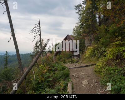 Fußweg zum Berghotel Bilikova Chata, Holzhütte in der Hohen Tatra in der Nähe von Stary Smokovec Slowakei, Wald und launischen Himmel Stockfoto