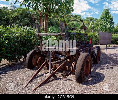 Alte Pferdewagen für den Transport von geernteten Sticks von Zucker Stock zur Mühle in den alten Tagen Stockfoto