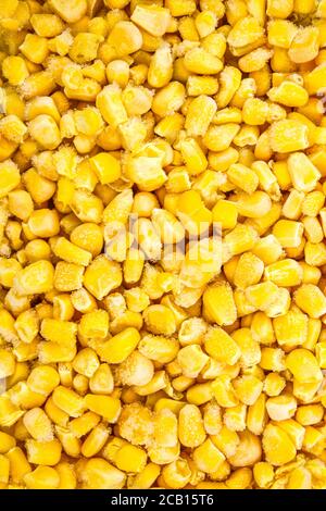 Frische gefrorene Mais Hintergrund, Aufstockung Gemüse für die Winterlagerung, leckere gelbe Körner von Mais. Textur von Popcorn Stockfoto