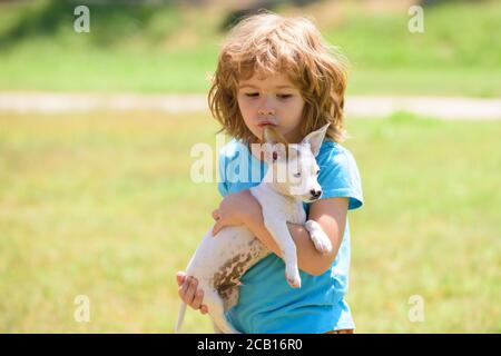 Kleine süße lockige blonde Junge mit einem weißen Welpen auf den Händen. Welpen und Kinder im Freien. Stockfoto