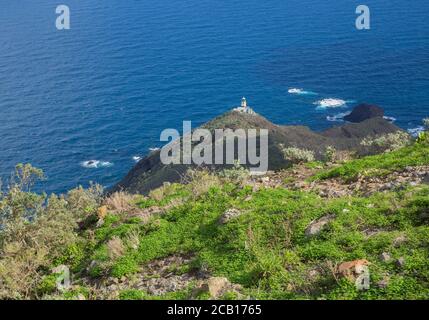 Blick auf Faro de Anaga Leuchtturm mit grünen Hügeln blaues Meer atlantische Ozeanlandschaft in anaga Berg, teneriffa kanarische Insel spanien Stockfoto