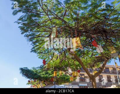 Weihnachtsbäume im Sommer. Tropische Palmen mit bunten Ornamenten und Dekorationen für die Feiertage geschmückt. Rosa Kugeln und Geschenkbox, Teneriffa Stockfoto