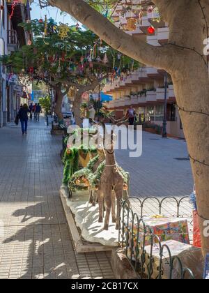 Spanien, Kanarische Inseln, Teneriffa, Puerto de la cruz, 23. Dezember 2017: Straße mit tropischen Palmen, dekoriert mit bunten Kugeln und Geschenkbox Stockfoto