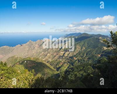 Aussichtspunkt Amogoje, grüne Hügel mit Felsen im Meer El Draguillo in anaga Berg, teneriffa kanarische Insel spanien mit dramatischen blauen Himmel weißen Wolken Stockfoto