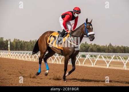 Pferderennen auf der King Khalid Racetrack 7/8/2020 Stockfoto