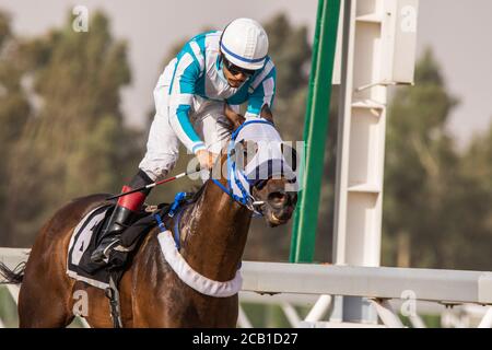 Pferderennen auf der King Khalid Racetrack 7/8/2020 Stockfoto