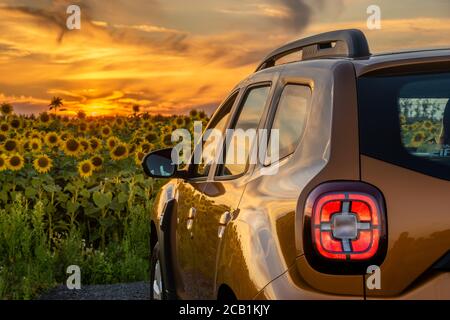 Dacia Duster SUV gegen ein Feld von blühenden Sonnenblumen gesetzt Stockfoto