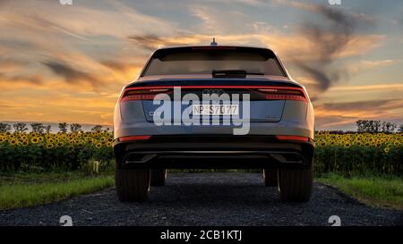 Der Audi Q8, ein Luxus-Sport-SUV mit blühenden Sonnenblumen Stockfoto