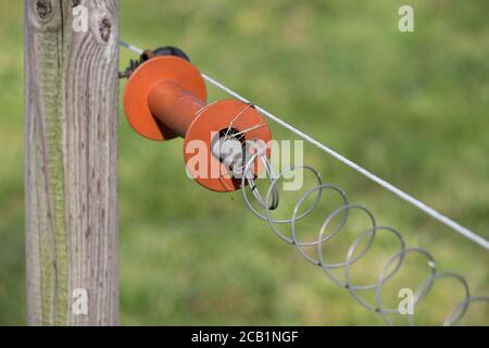 Elektrozaun ist eine Barriere, die mit Elektroschocks Tiere und Menschen davon abhält, eine Grenze zu überqueren. Orangefarbener Griff in einer grünen Wiese Stockfoto
