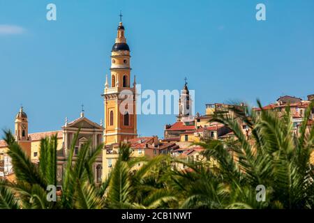 Glockenturm der Basilika Saint Michel Archange unter blauem Himmel, wie durch die Palmen in der Altstadt von Menton, Frankreich gesehen. Stockfoto