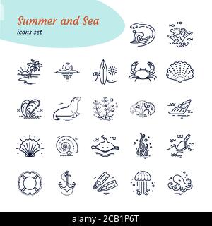 Seezeichen festlegen. Moderne Vektordarstellung des Unterwasserlebens. Marinesymbole. Nautische Designelemente auf Hintergrund isoliert. Stock Vektor