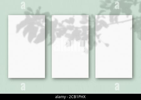 3 vertikale Blätter aus strukturiertem weißem Papier auf hellgrünem Tischhintergrund. Mockup Overlay mit den Pflanzenschatten. Natürliches Licht wirft Schatten von einem Stockfoto