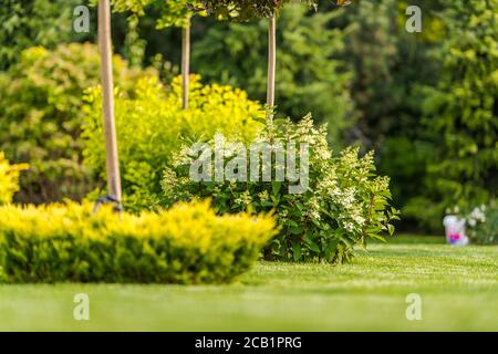 Schöne Üppige Landschaftsgestaltung Garten Mit Gut Gepflegt Bäume Gras Sträucher Und Hecken, Stockfoto