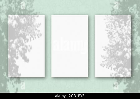 3 vertikale Blätter aus strukturiertem weißem Papier auf hellgrünem Tischhintergrund. Mockup Overlay mit den Pflanzenschatten. Natürliches Licht wirft Schatten von einem Stockfoto