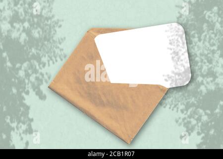 Ein Umschlag mit einem Blatt weißem strukturiertem Papier auf dem hellgrünen Hintergrund des Tisches. Natürliches Licht wirft Schatten von einer exotischen Pflanze Stockfoto