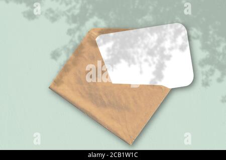 Ein Umschlag mit einem Blatt weißem strukturiertem Papier auf dem hellgrünen Hintergrund des Tisches. Natürliches Licht wirft Schatten von einer exotischen Pflanze Stockfoto
