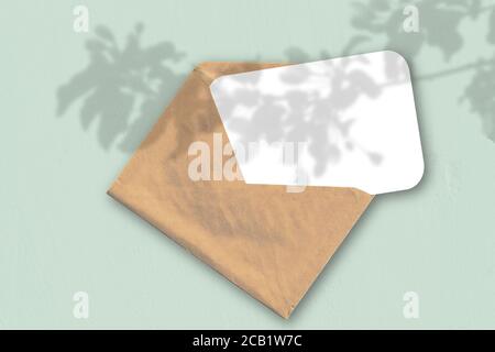Ein Umschlag mit einem Blatt weißem strukturiertem Papier auf dem hellgrünen Hintergrund des Tisches. Natürliches Licht wirft Schatten von einer exotischen Pflanze Stockfoto