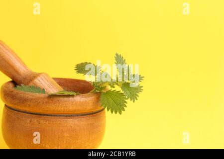 Nahaufnahme von kleinen Brennesseln in einem Holzmörtel und Stößel Isoliert auf gelbem Hintergrund Stockfoto