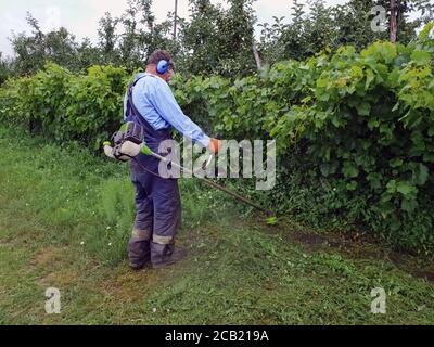 Seitenansicht eines älteren Mannes, der Gras schneidet, mit einem Bürstenschneider, Arbeitskleidung, Brille, geräuschdämmenden Kopfhörern und Handschuhen. Stockfoto