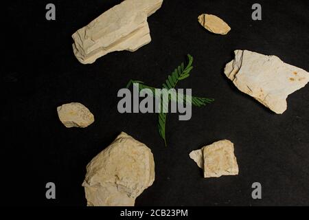 Organisches trockenes Tonpulver auf weißem Hintergrund. Natürliches Tonpulver für die Kosmetikindustrie, Spa oder zu Hause Stockfoto