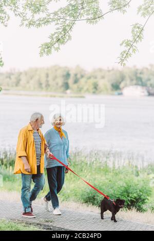 Lächelnder älterer Mann, der seine Frau ansah, während er mit Mops ging Hund an der Leine im Park Stockfoto