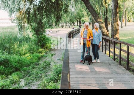 Selektiver Fokus auf positiven älteren Mann mit Mops Hund auf Leine, die neben Frau auf der hölzernen Brücke im Park läuft Stockfoto