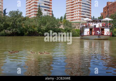 Valladolid, Spanien - 19. Juli 2020: Touristenboot am Pisuerga-Fluss. Valladolid, Spanien Stockfoto