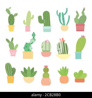 Set aus hellen Kakteen, Aloe und Blättern. Sammlung von exotischen Pflanzen. Dekorative Naturelemente sind auf Weiß isoliert. Kaktus mit Blumen. Vektorgrafik Stock Vektor