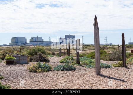 Detail des Gartens im Prospect Cottage mit Nuclear Power im Hintergrund, Dungeness, Heimat des verstorbenen Derek Jarman Künstlers und Filmregisseurs. Stockfoto