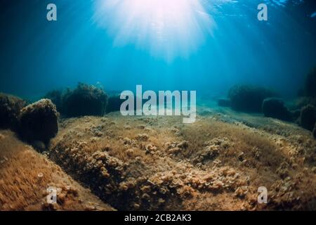 Unterwasseransicht mit Steinen und Algen in transparentem Meer. Sonnenlicht im blauen Ozean Stockfoto