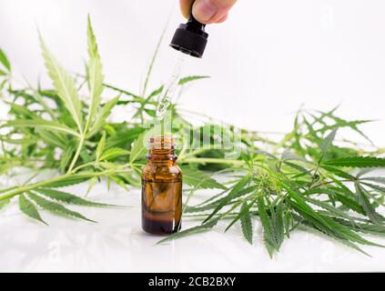 Flasche mit Cannabisöl gegen frische Hanfblätter auf weißem Hintergrund. Stockfoto