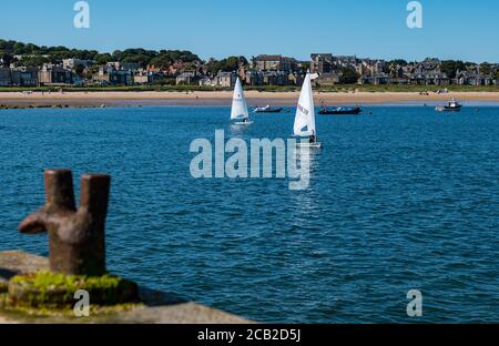 Laser-Segelboote starten in ELYC Segelrennen aus North Berwick, East Lothian, Schottland, Großbritannien Stockfoto