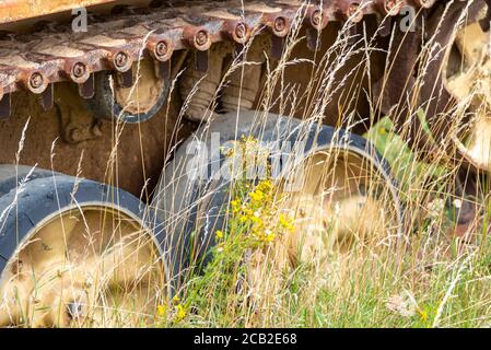 Korrodierender Panzer im Imperial war Museum, Duxford, Cambridgeshire, Großbritannien. Gepanzertes Kampffahrzeug, AFV, in langem Gras. Raus ins Gras. Tankspuren Stockfoto