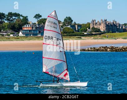 Musto-Segelschiff in West Bay, North Berwick, Firth of Forth, East Lothian, Schottland, Großbritannien Stockfoto