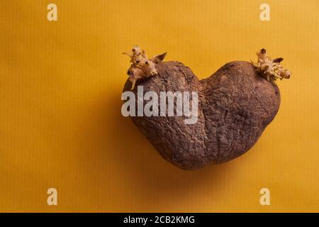 Hässliche Kartoffeln in Form eines Herzens auf Gelber Hintergrund Stockfoto