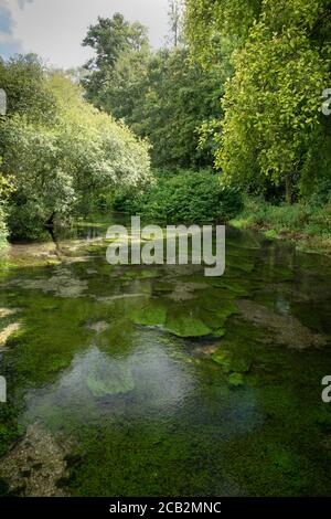 River Itchen, Ovington, Hampshire, Großbritannien Stockfoto