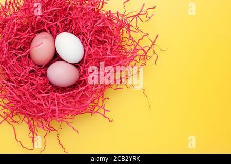 Baum Eier in einem nes auf einem gelben Hintergrund. Draufsicht. Platz für Text kopieren Stockfoto