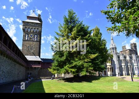 Blick auf Cardiff Castle Uhrturm aus dem Inneren des Schlossgeländes, Cardiff, Glamorgan, Wales Stockfoto