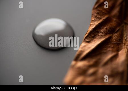 Wassertropfen auf einer flachen grauen Oberfläche Stockfoto