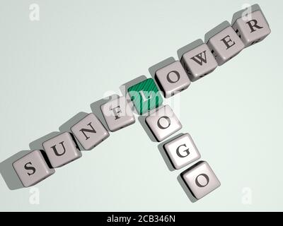 Sonnenblumen-Logo Kreuzworträtsel durch Würfelbuchstaben. 3D-Illustration. Hintergrund und schön Stockfoto