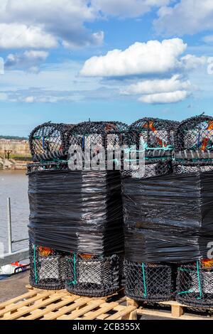 Neue Hummertöpfe Stockfoto