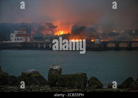 Waldstiftung Chiberta am 2020. Juli, 30. Die Brandstiftung verwüstete 165 Hektar Wald und verbrannte 11 Häuser im Herzen von Anglet. Lauffeuer. Blaze. Stockfoto