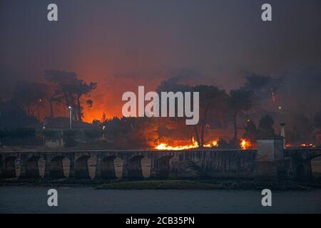 Waldstiftung Chiberta am 2020. Juli, 30. Die Brandstiftung verwüstete 165 Hektar Wald und verbrannte 11 Häuser im Herzen von Anglet. Lauffeuer. Blaze. Stockfoto